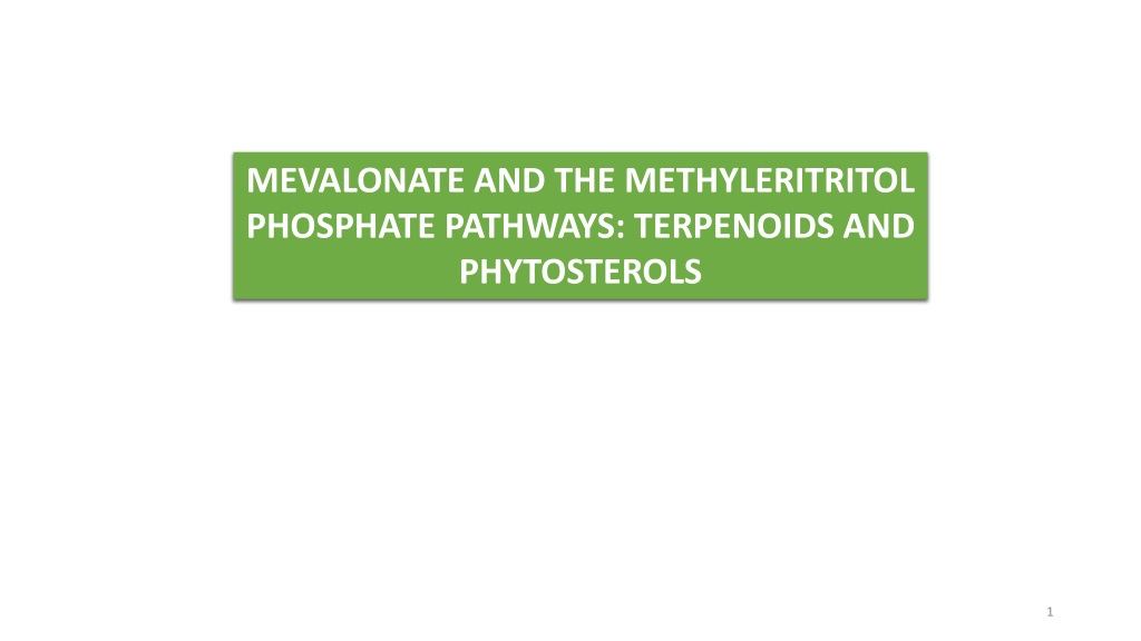 Terpenoids and Phytosterols Biosynthesis Pathways in Plants