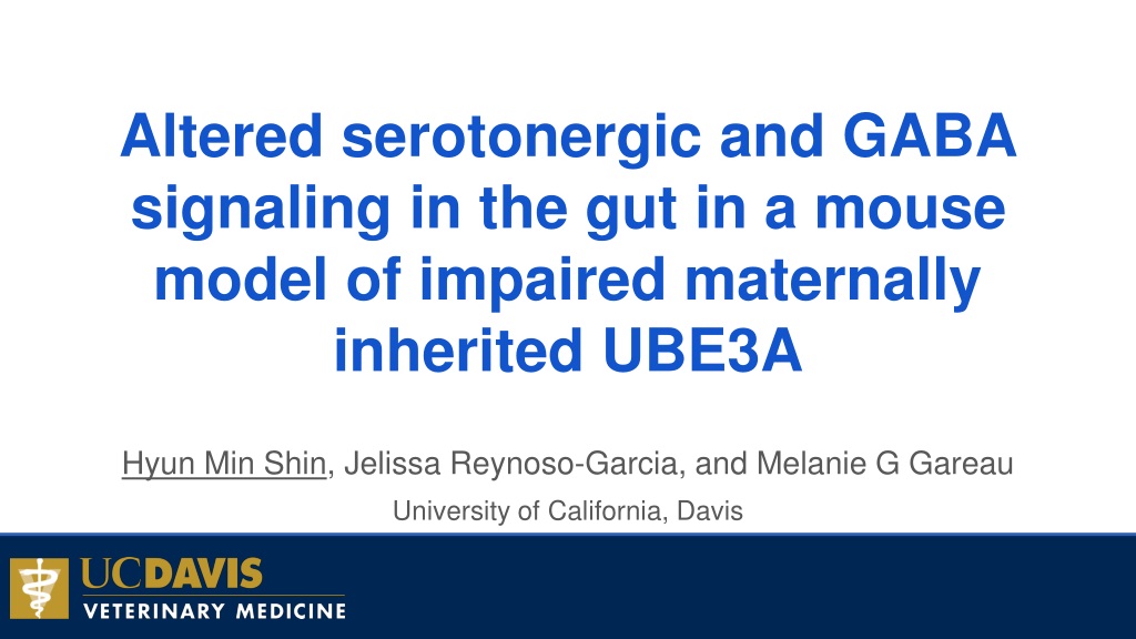gut serotonergic and gaba signaling in mouse model of maternally inherited ube3a impairme