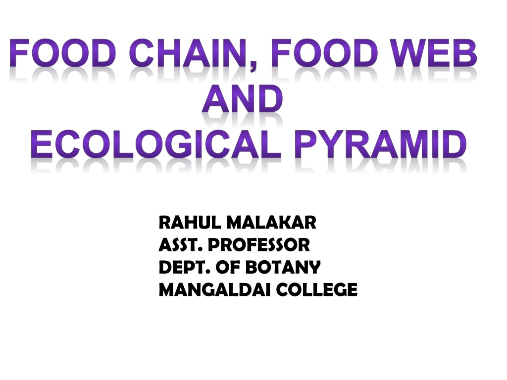 understanding trophic levels food chains and ecological pyramids in ecosyste