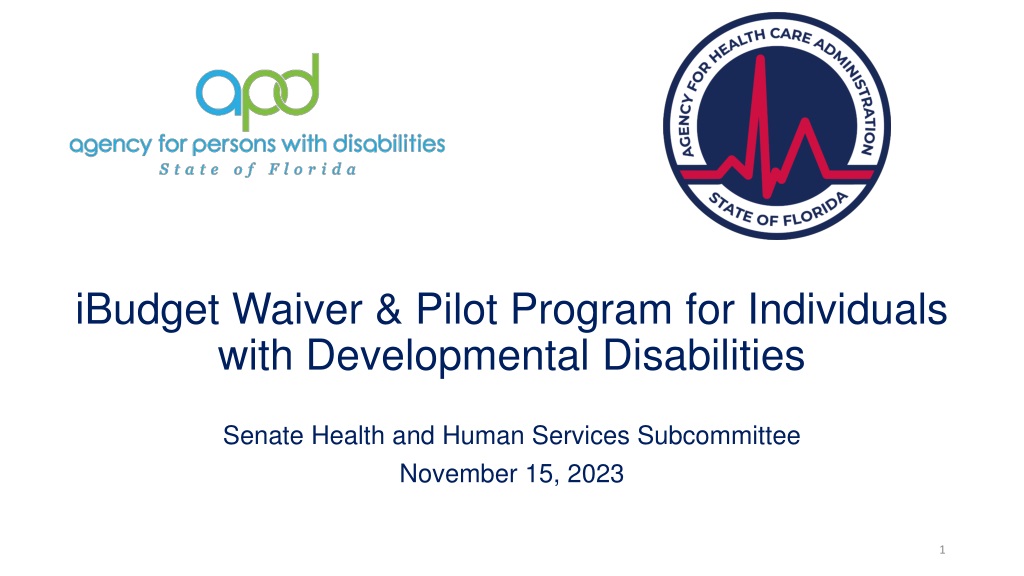 iBudget Waiver & Pilot Program for Individuals with Developmental Disabilities Overview