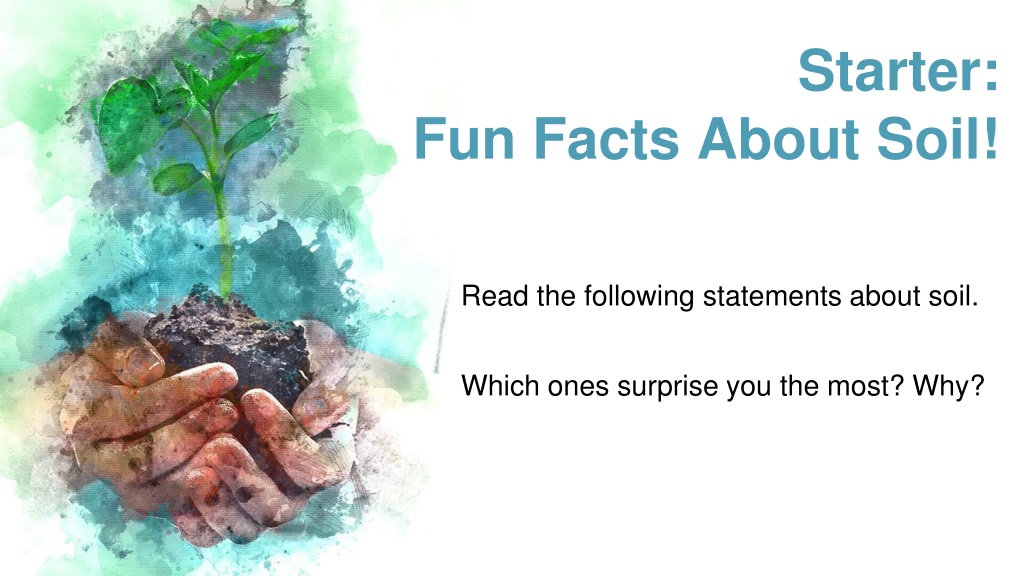 discovering the wonders of soil fascinating facts and featur