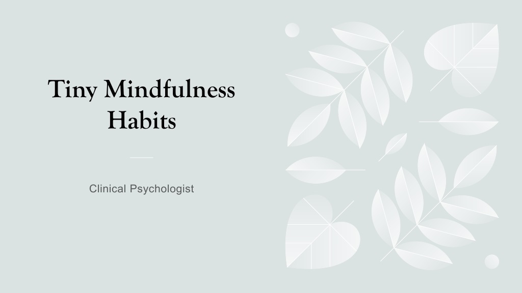 Tiny Mindfulness Habits for Work Stress Management
