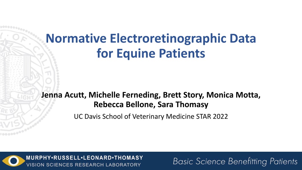 normative electroretinographic data for equine patients study findin