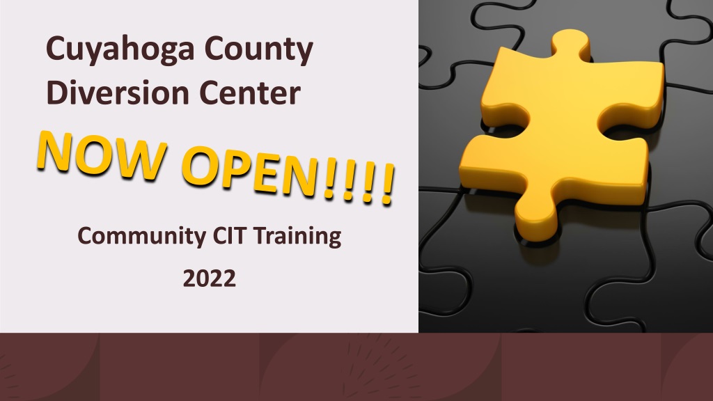 PPT - Cuyahoga County Diversion Center: Overview and Procedures ...