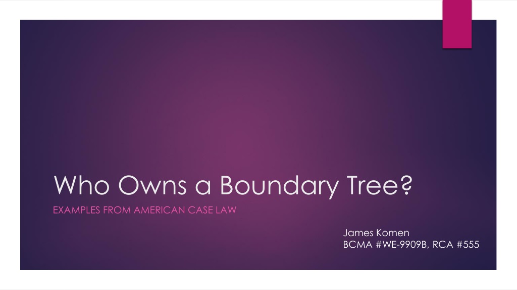 boundary trees ownership in american case l