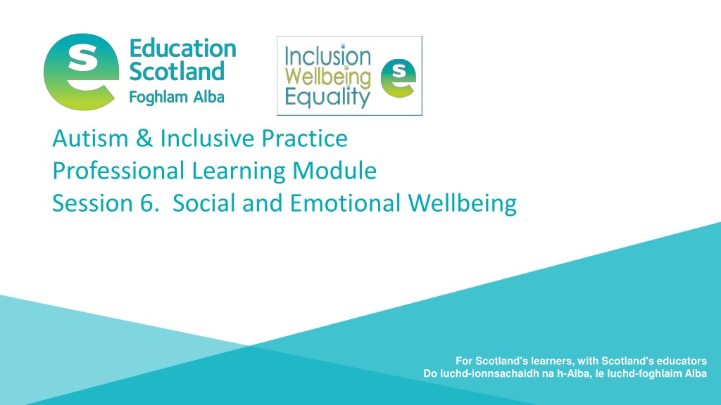 enhancing social and emotional wellbeing in autism and inclusive educati