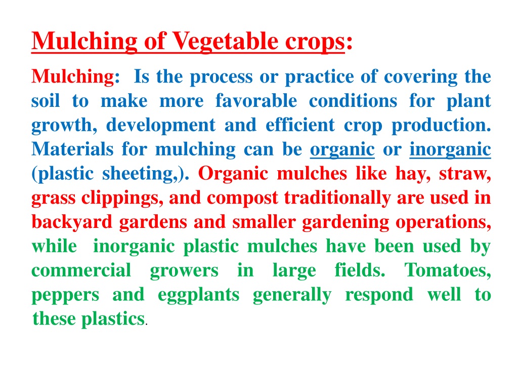 mulching of vegetable crops benefits types and application techniqu