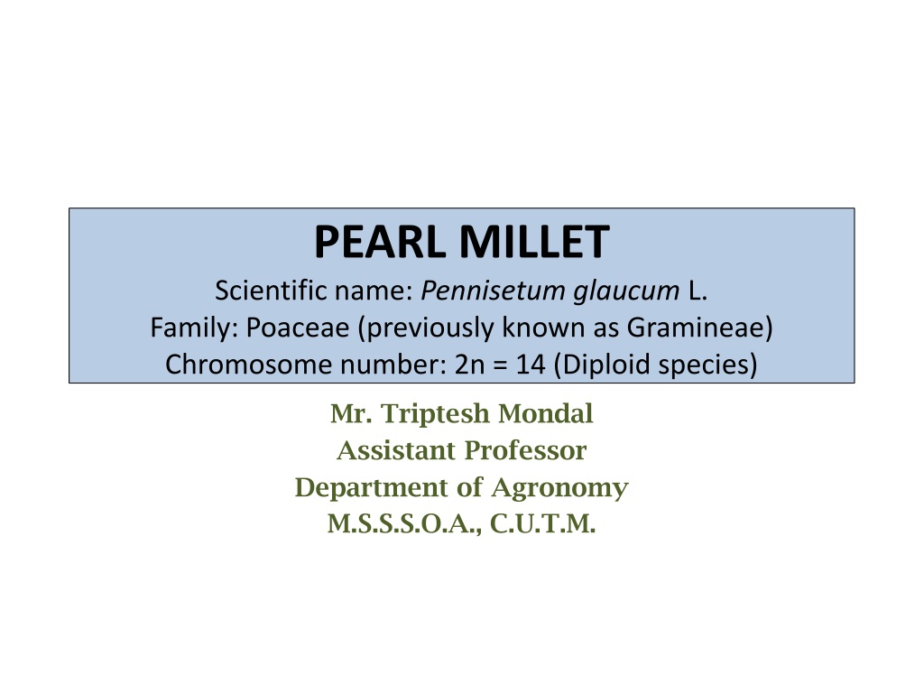 Overview of Pearl Millet: Economic Importance, Origin, and Distribution