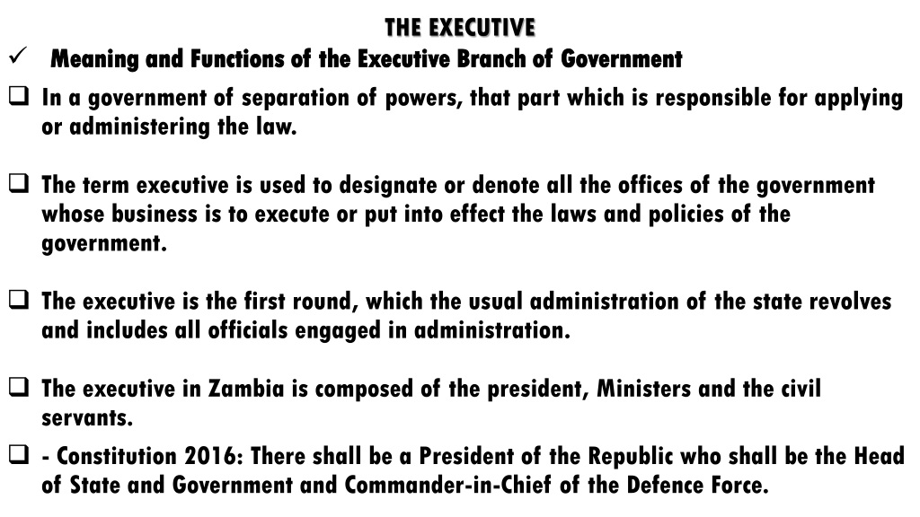 role and functions of the executive branch of governme