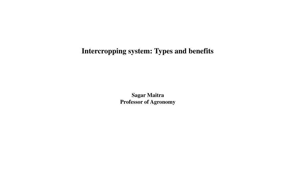 diverse intercropping systems for enhanced agricultural productivi