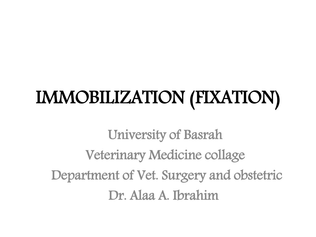 bone fixation methods in veterinary surge