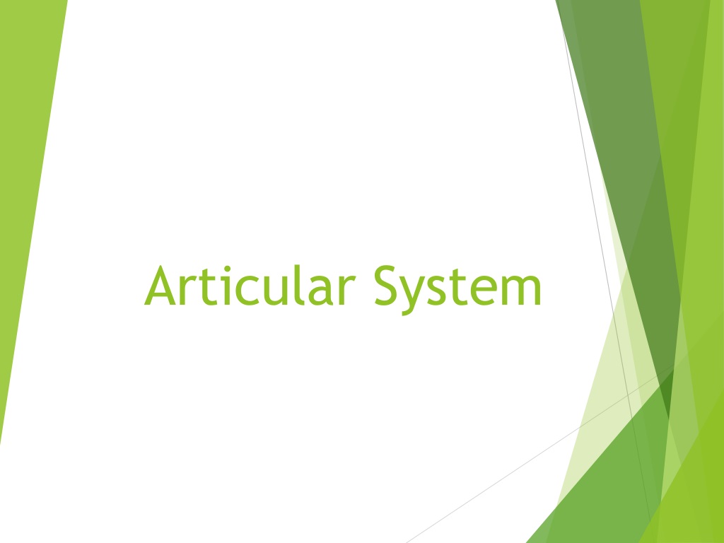 overview of joint structures and functio