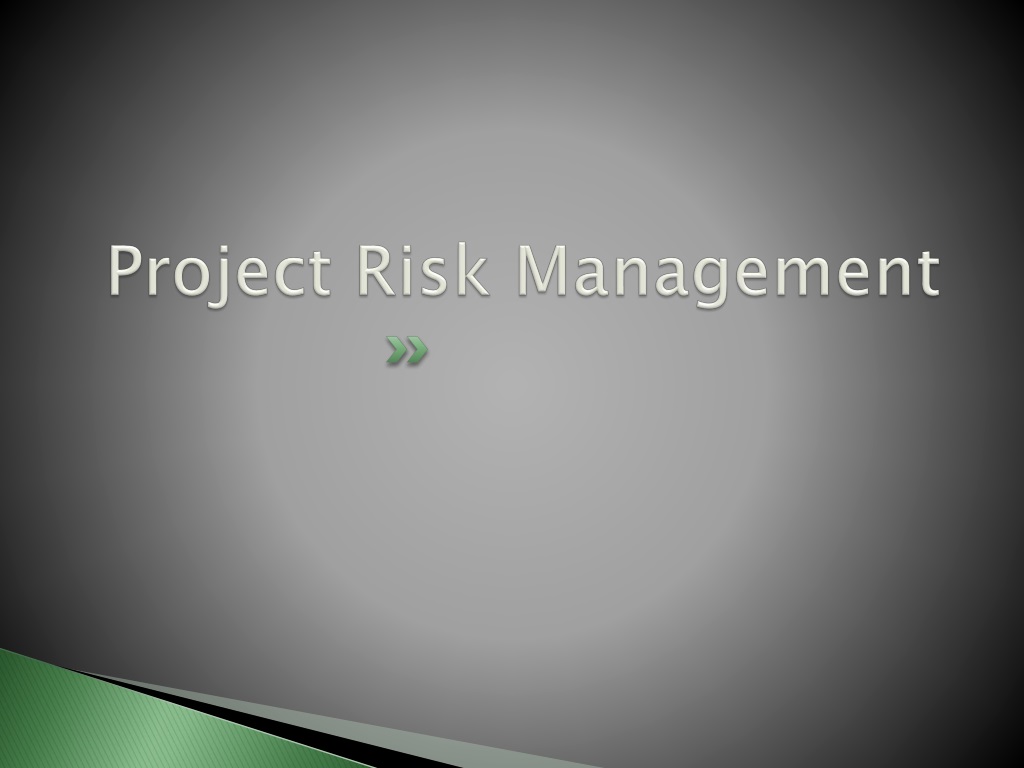 understanding and managing project ris