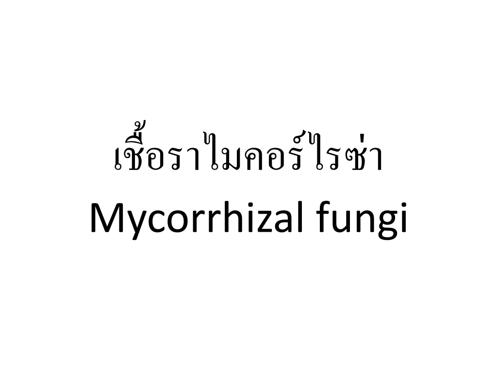 understanding mycorrhizal fungi and their importance in agricultu