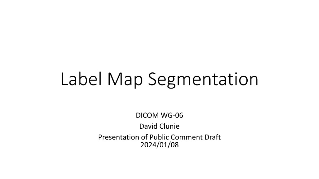 Efficient Label Map Segmentation for DICOM Standardization