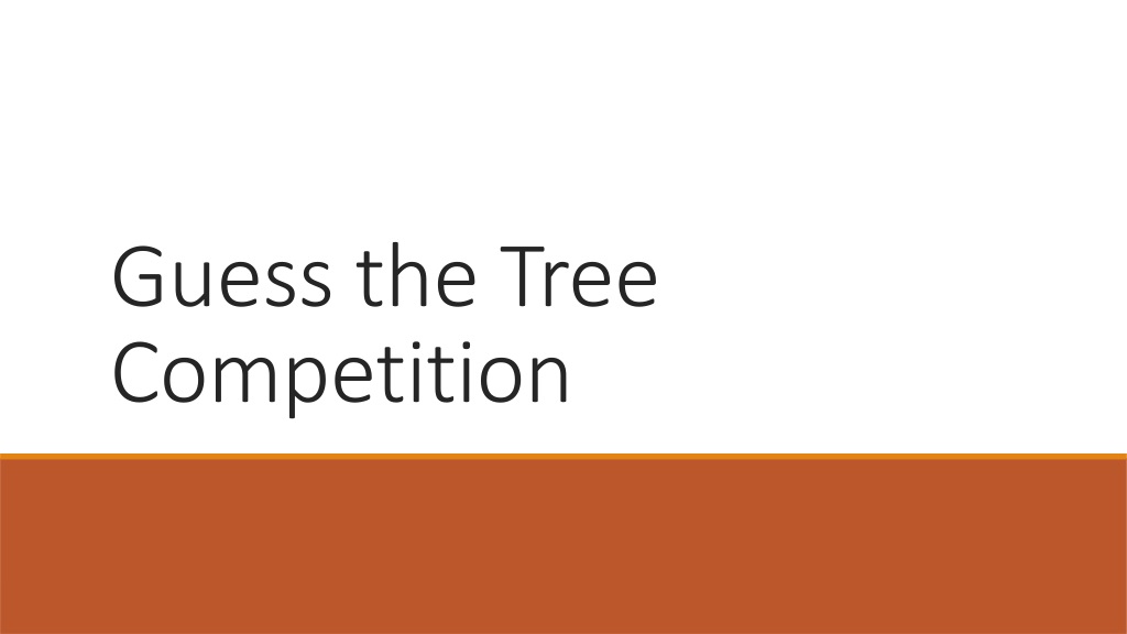 diverse tree species in a competition of streng