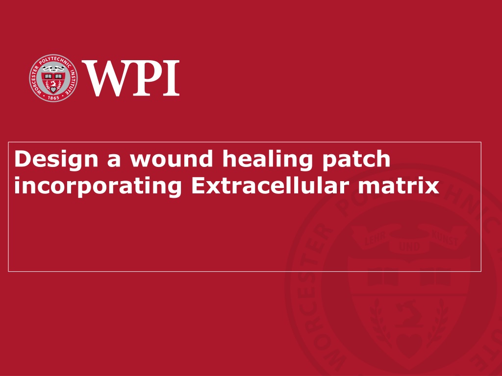 development of ecm based wound healing pat