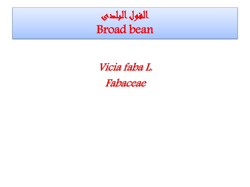 overview of broad bean vicia fa