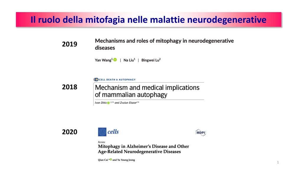 Role of Mitophagy in Neurodegenerative Diseases