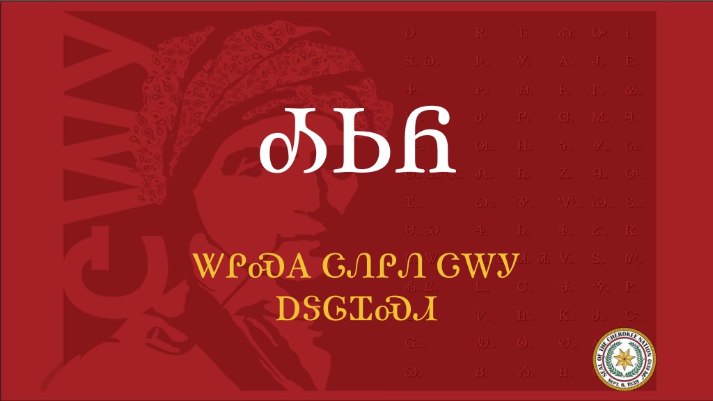 Cherokee Verbs and Actions Illustrated Through Sentences