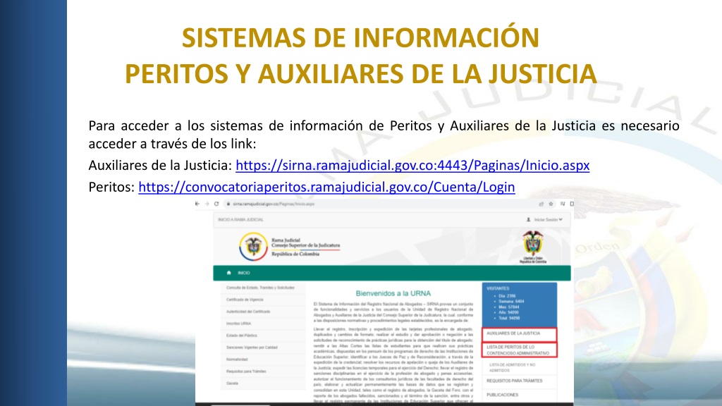 Information Systems for Justice Peritos and Auxiliares