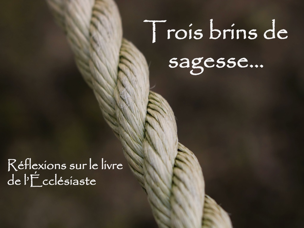 reflections on ecclesiastes wisdom religious practices and societal issu