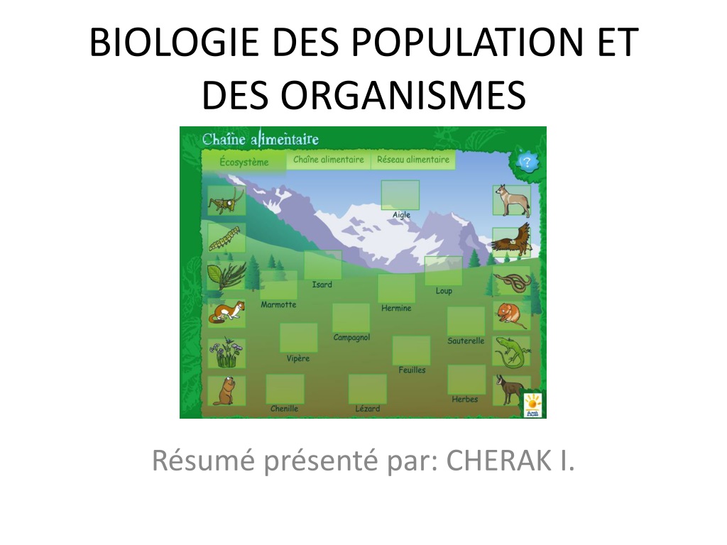 PPT - Concepts En Ecologie: Définitions Fondamentales Et Histoire ...