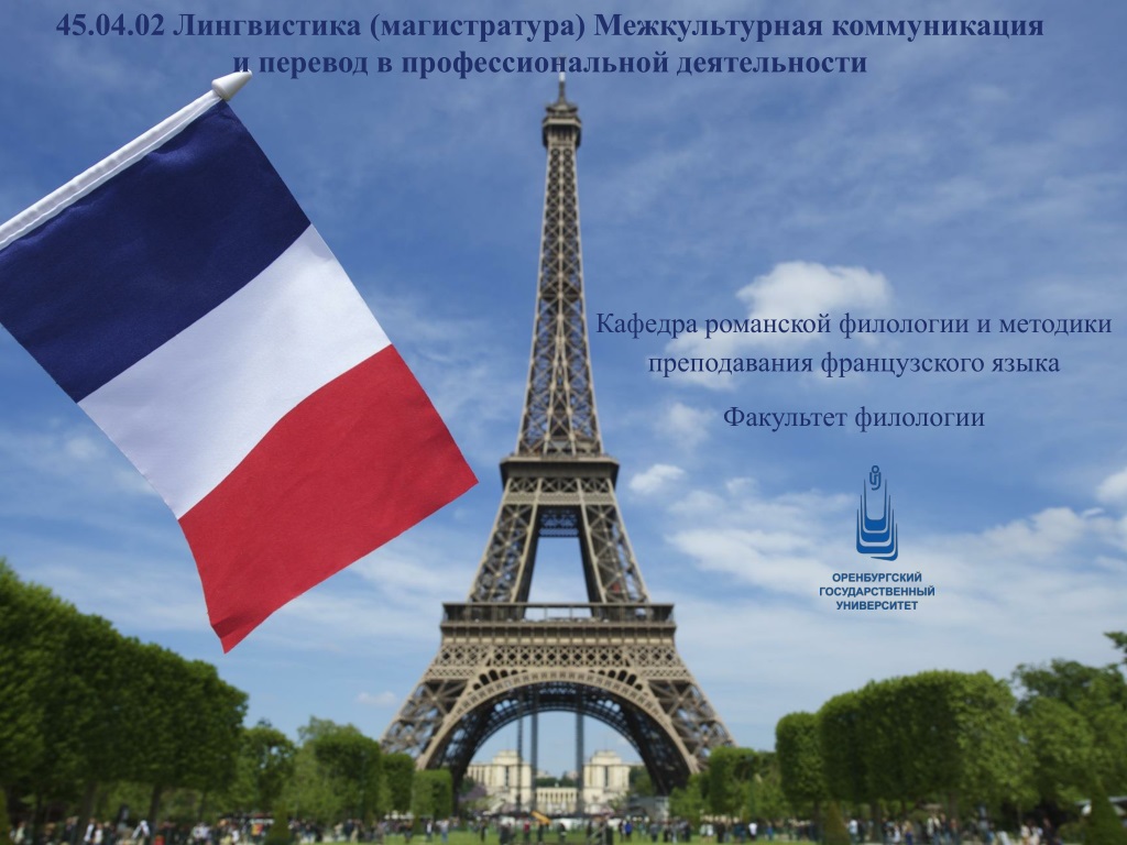 master s program in intercultural communication and translation in professional activiti