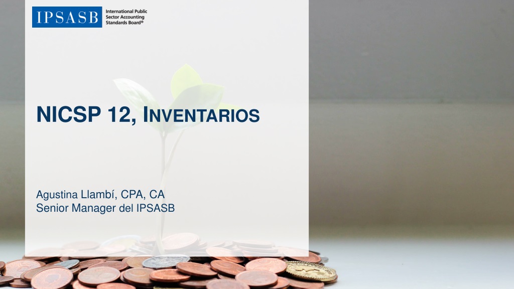 ipsasb inventory standards overvi