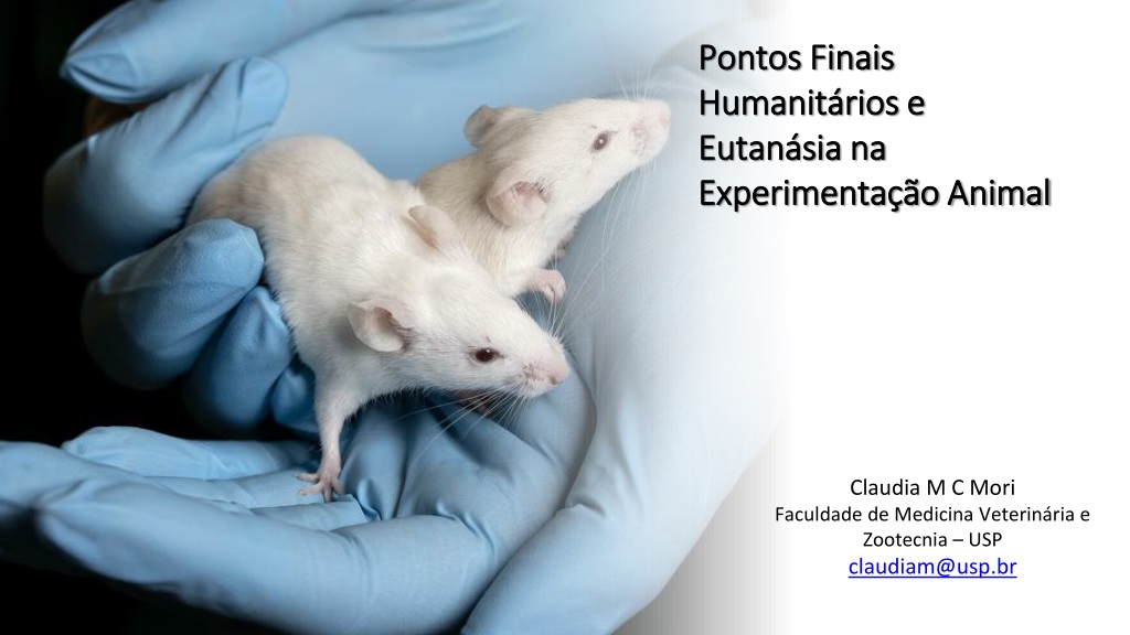 consideration of humane endpoints in animal experimentati