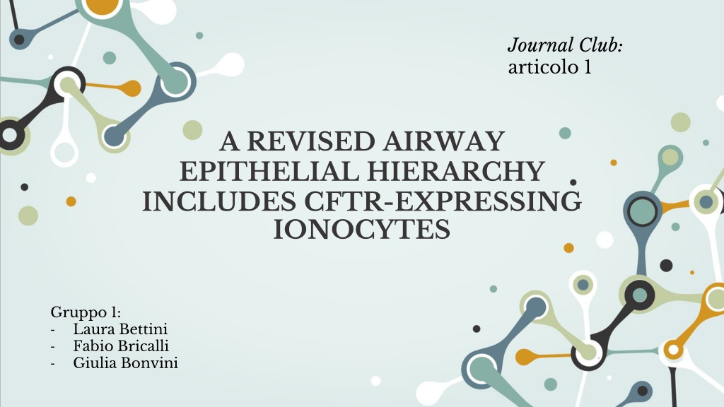 revised airway epithelial hierarchy revealed by cftr expressing ionocyt