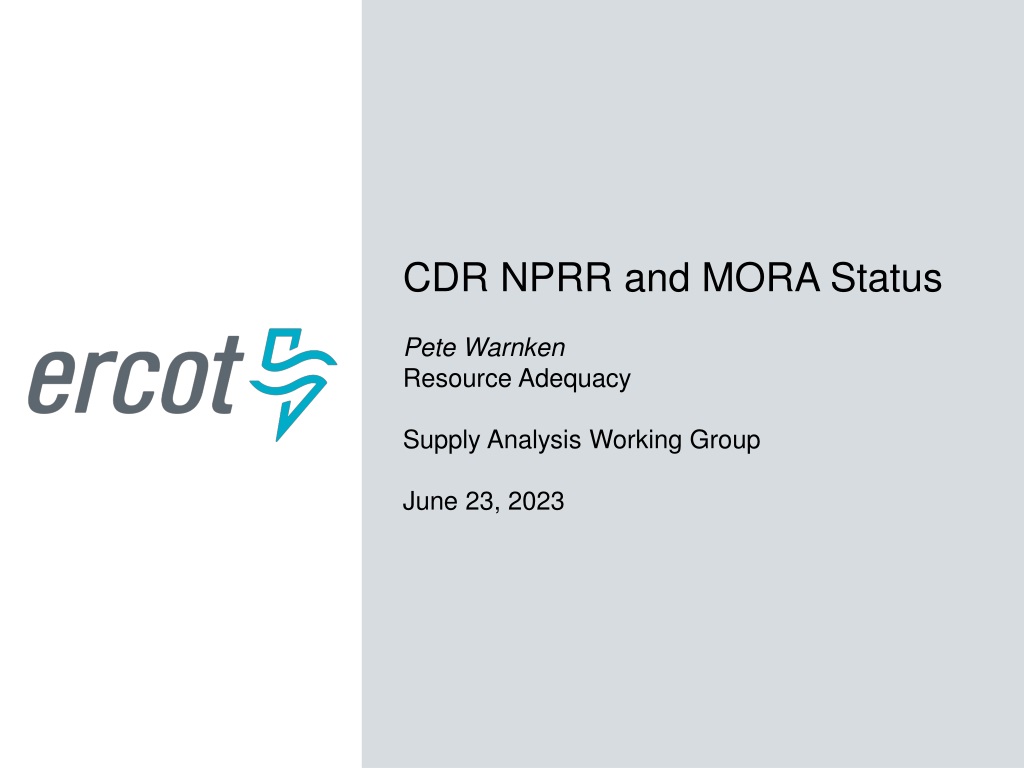 ercot public nprr status update and mora mock up overvi