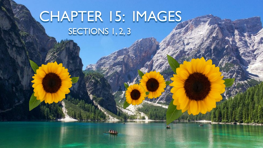 learning to work with images in processi