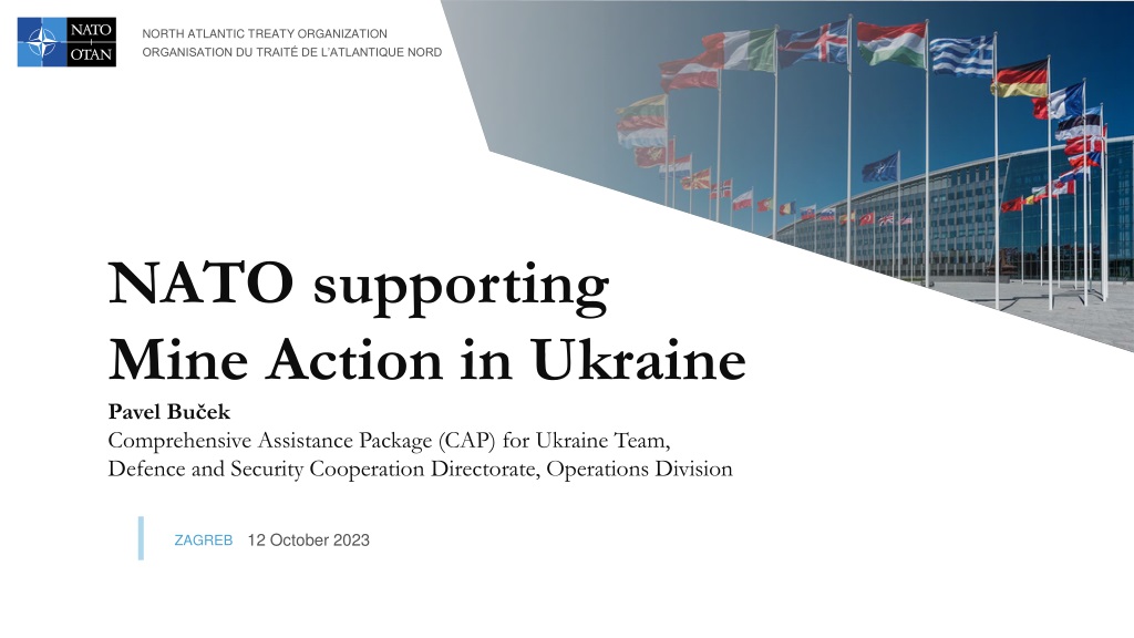 NATO Support for Mine Action in Ukraine - Comprehensive Assistance Package (CAP)