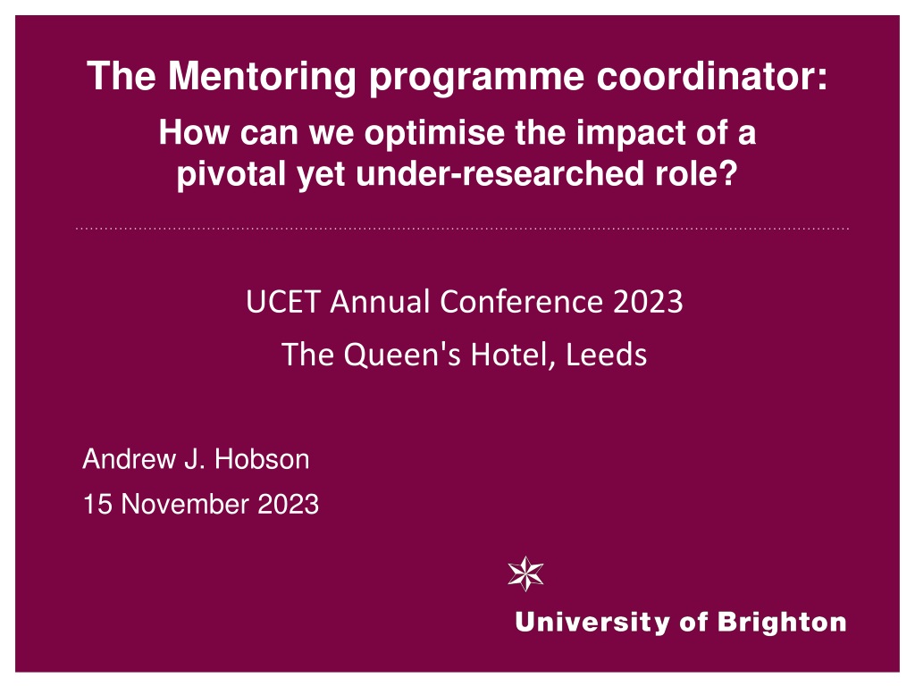 Enhancing the Impact of Mentoring Programme Coordinators: Insights from Research