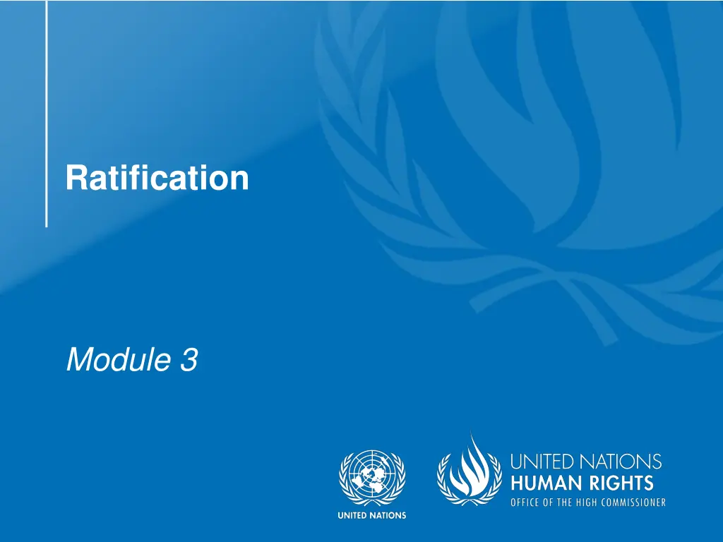 Steps and Considerations for Ratifying the Convention on the Rights of Persons with Disabilities