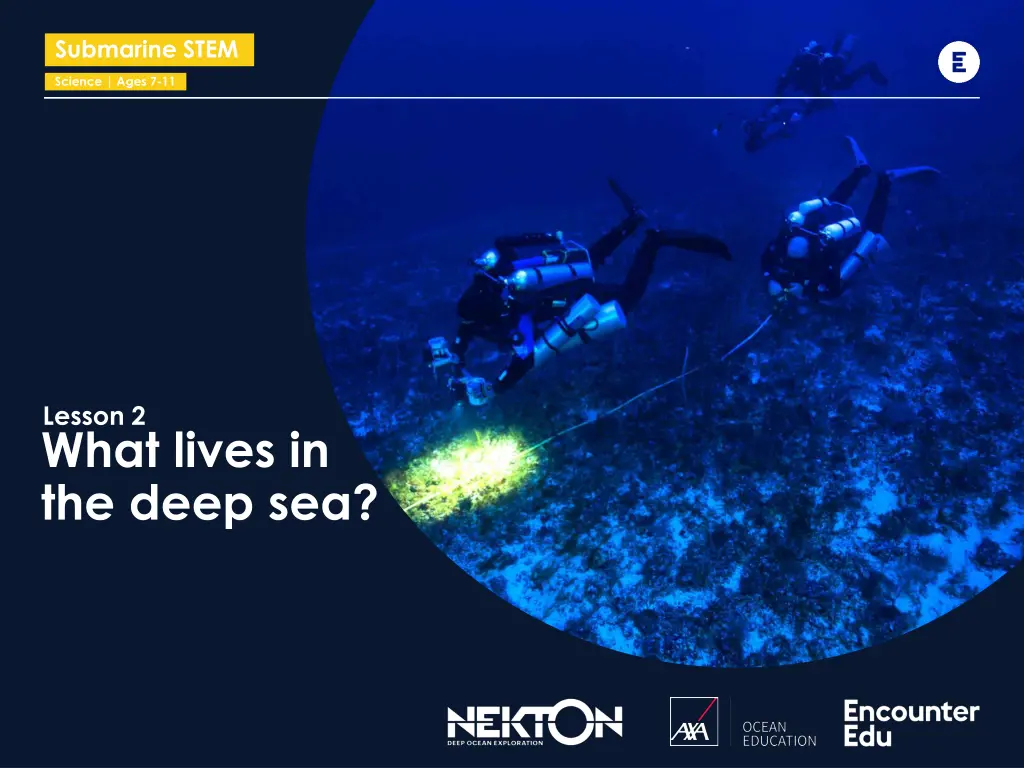 Deep Sea Exploration: What Lives in the Ocean?
