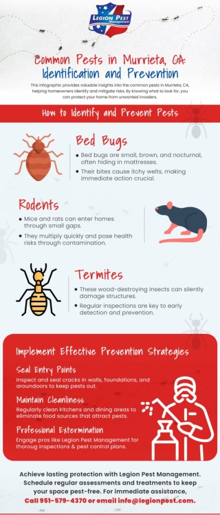 Common Pests in Murrieta, CA - Identification and Prevention