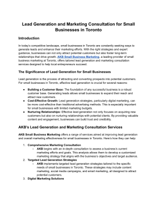 Lead Generation and Marketing Consultation for Small Businesses in Toronto