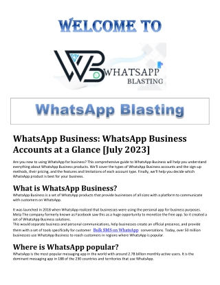 WhatsApp and Digital Marketing | WhatsApp Blasting