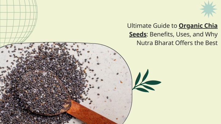 ultimate guide to organic chia seeds benefits