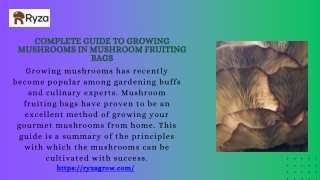 Complete Guide to Growing Mushrooms in Mushroom Fruiting Bags