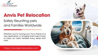 Trusted Pet Relocation Company for Safe Global Moves