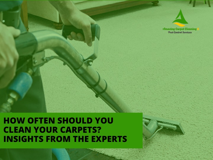 how often should you clean your carpets insights