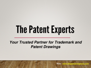 The Patent Experts: Trademark Drawings & Patent Drawings Company