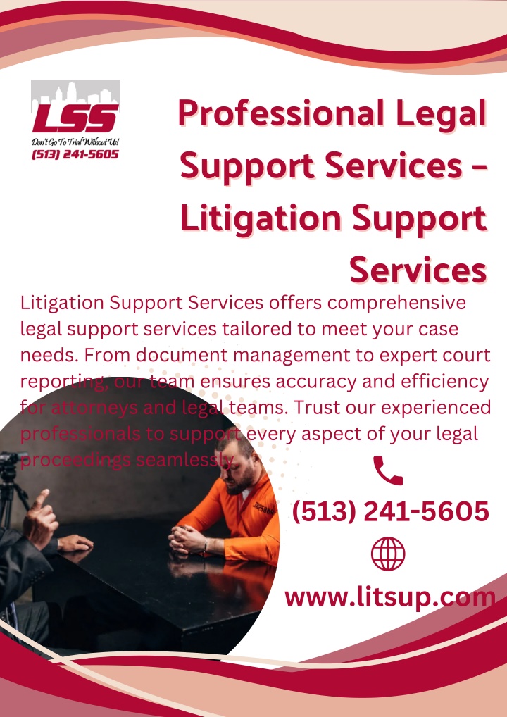 professional legal support services litigation