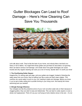 Roof Gutter Cleaning Geelong - Vacuum cleaning