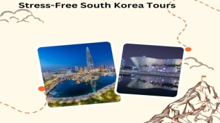 Stress-Free South Korea Tours