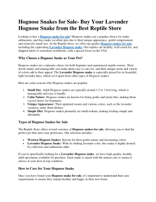 Hognose Snakes for Sale- Buy Your Lavender Hognose Snake from the Best Reptile Store