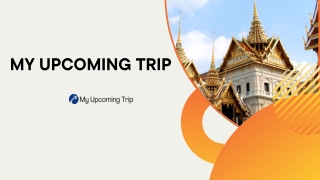 The Best Tour Packages from Noida